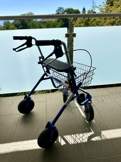 Déam­bu­la­teurs – Lan­di Mobil Comfort